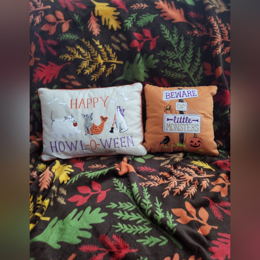 2) Halloween Throw Pillows From Kohls. Like New. Very Cute For Bed Or Couch.